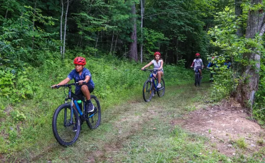 Kids ride on bikes on a forest trail